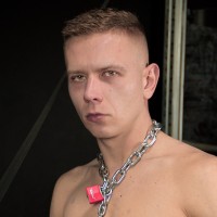 Oscar Wood - Picture 1