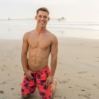 Palmer - Picture 3