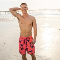 Palmer - Picture 1