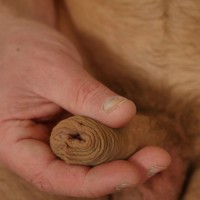 Victor Creed foreskin - Picture 7