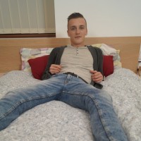 Dom Ully - Picture 2