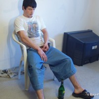 Gus - Picture 3