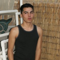 Tiger - Picture 1