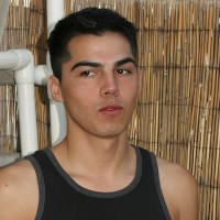 Tiger - Picture 21
