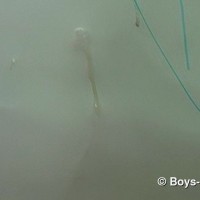 Bedroom oissing orgy - Picture 16