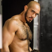 HomoPod, part 1 - Picture 9