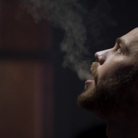 Camp Chaos - Picture 19