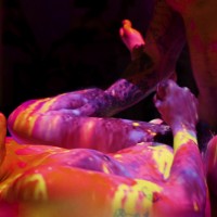 Camp Chaos - Picture 81