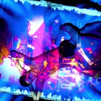 Camp Chaos - Picture 55