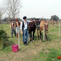 Horny Gay Cowboys - Picture 3