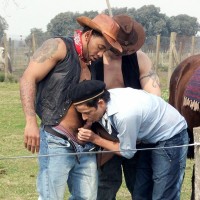 Horny Gay Cowboys - Picture 5