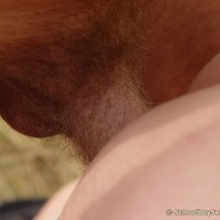 Outdoor - Picture 12