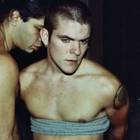 Shaved Down - Picture 3