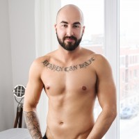 Newcummers - Picture 4