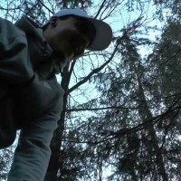 In the forest - Picture 7