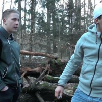 In the forest - Picture 11