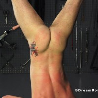 Boy Toy Torment - Picture 30