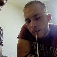 Dominated - Picture 1