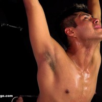 Taken for Torture - Picture 14