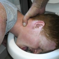 Wade Hicks - Picture 4