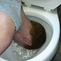 Wade Hicks - Picture 5