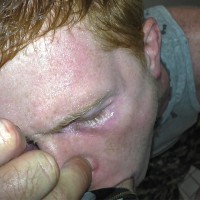 Wade Hicks - Picture 7