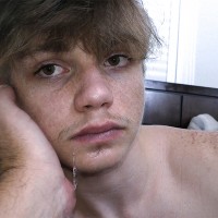 Bogdan - Picture 6