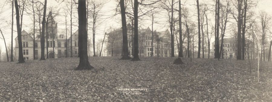 Old university buildings of brick and stone among tall bare trees on a lawn covered with fallen leaves