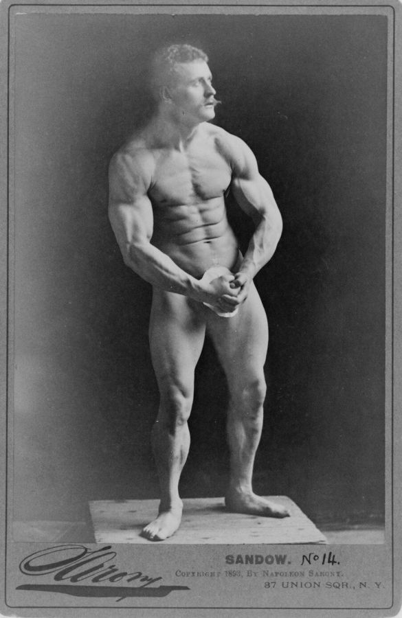 Cabinet card photograph of Eugen Sandow standing naked on a low wooden plinth, hands clasped in front of his groin
